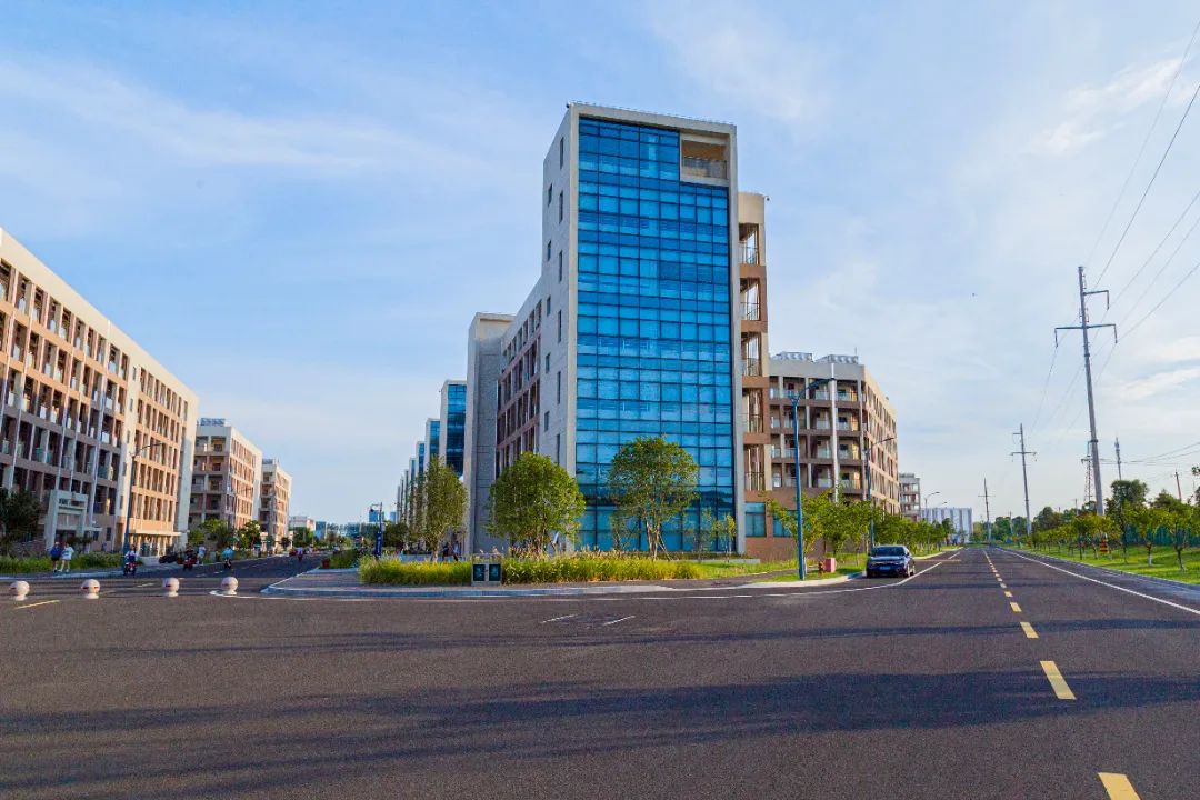 IMG_4105-125.jpg 圖片