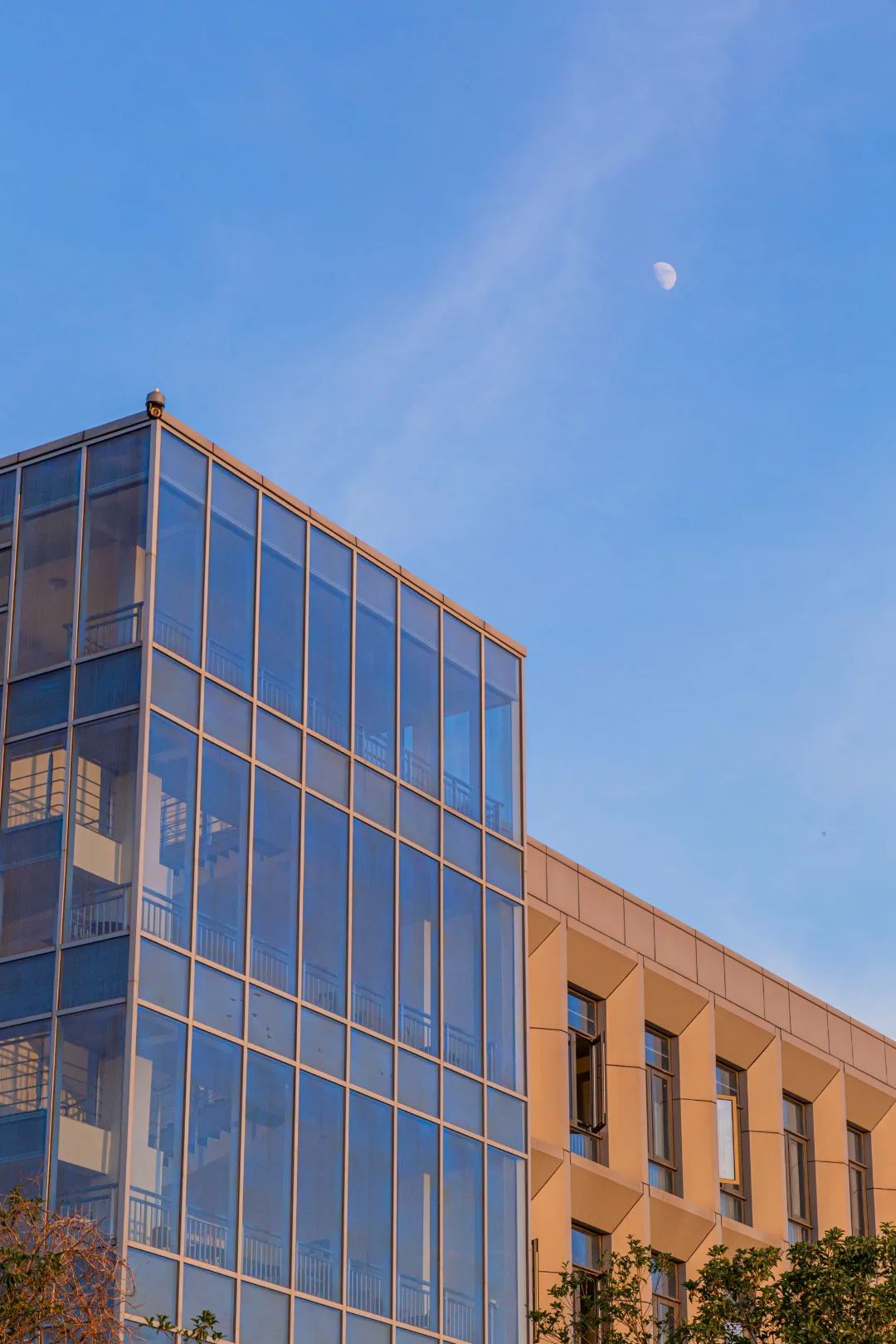 IMG_4215-211.jpg 圖片