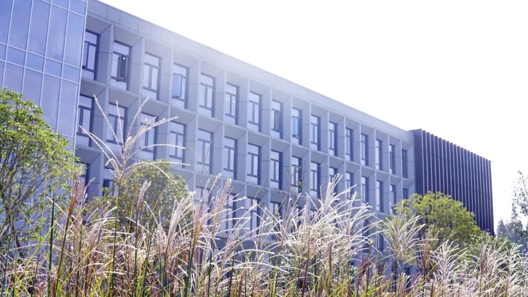 DSC08085_副本.jpg 圖片