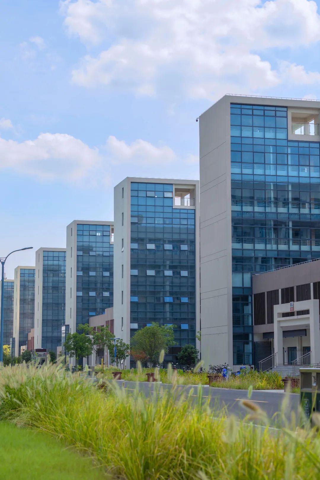 FU8A9150-37.jpg 圖片